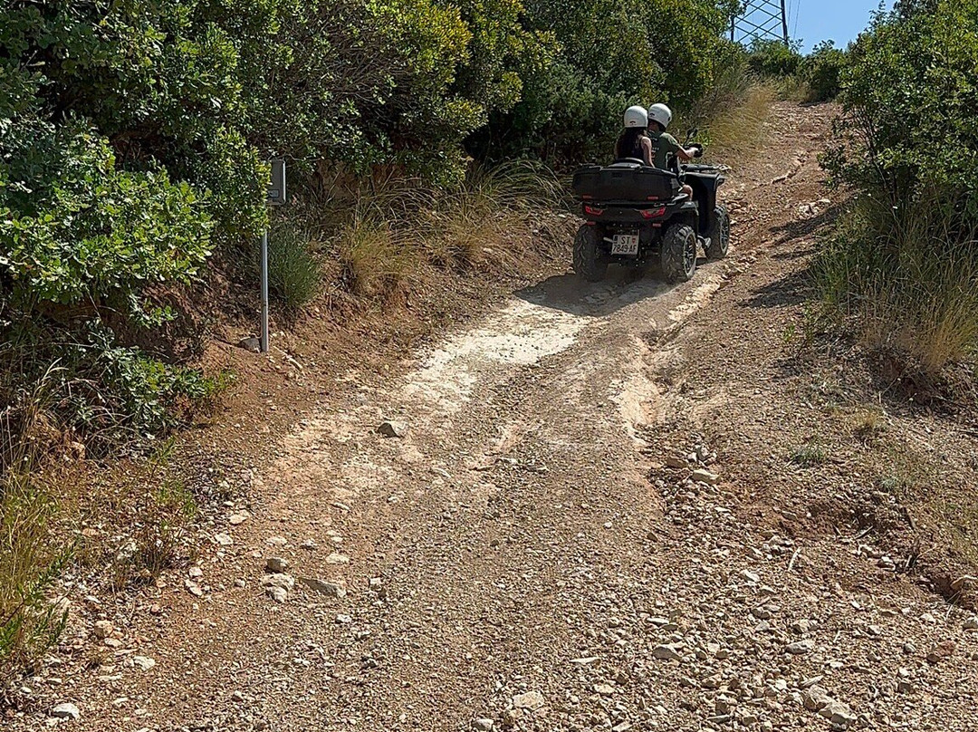Dalmatia Quad Adventures景点图片