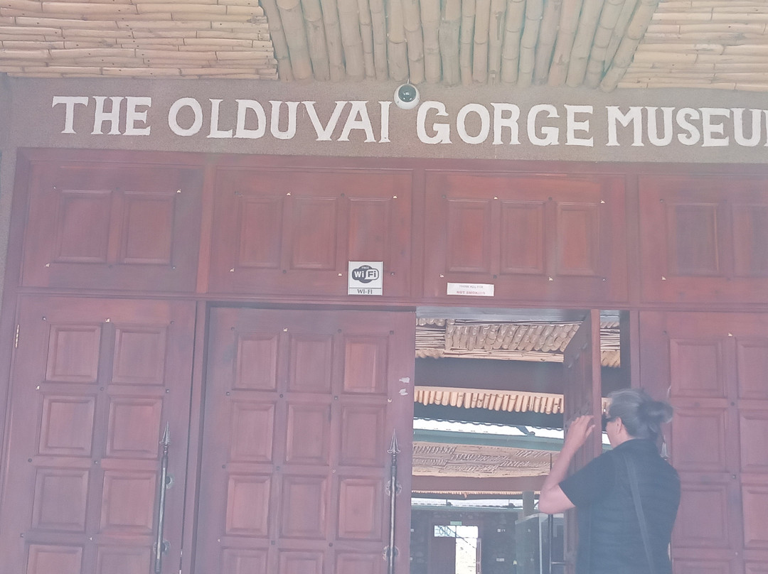 Olduvai Gorge Museum-恩戈罗恩戈罗保护区必去景点
