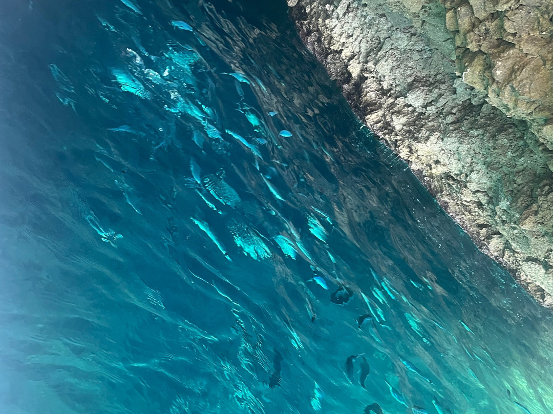 Sun Fun Club-Agios Georgios必去景点