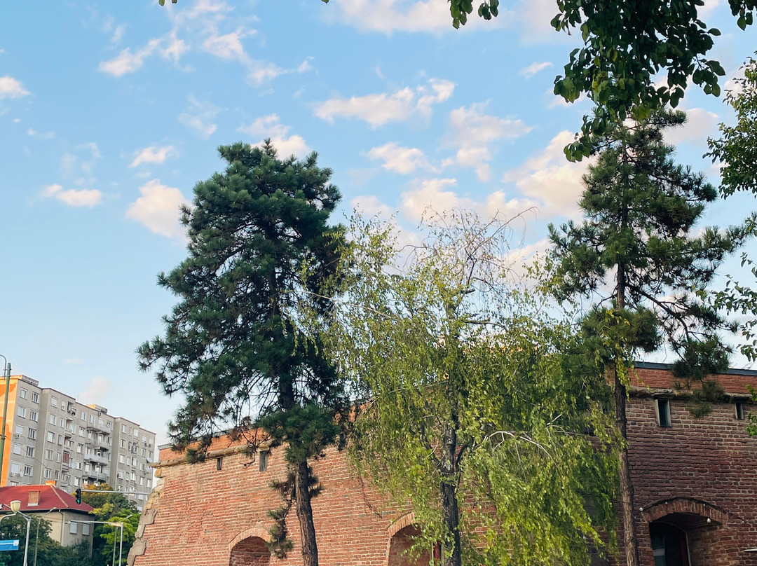Timisoara Free Tours景点图片