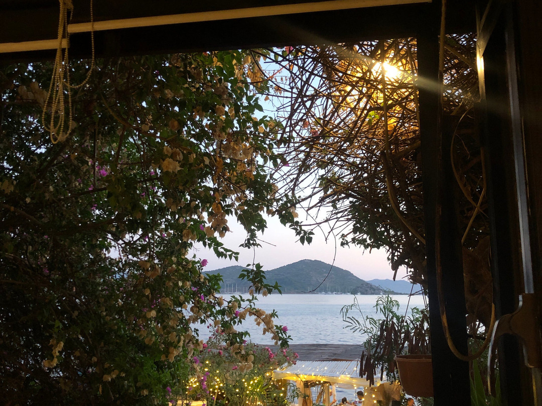 Bozburun Pembe Yunus Hotel主图