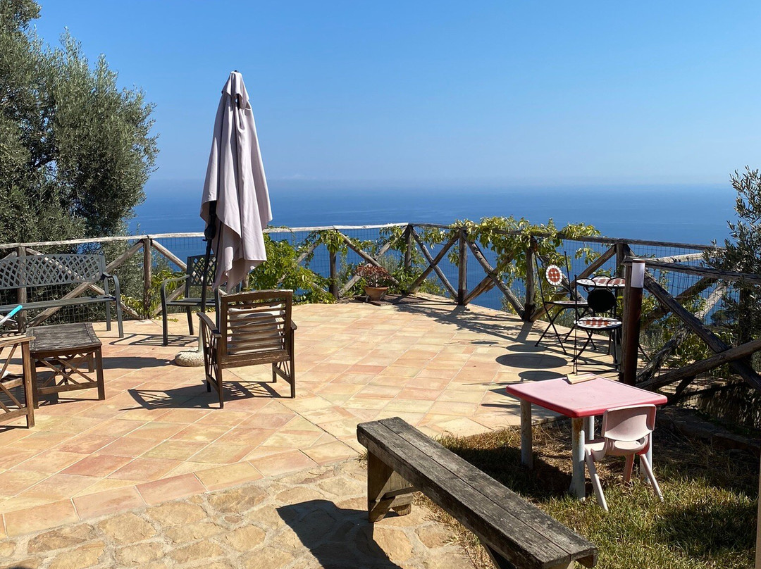 Agriturismo Pattina主图