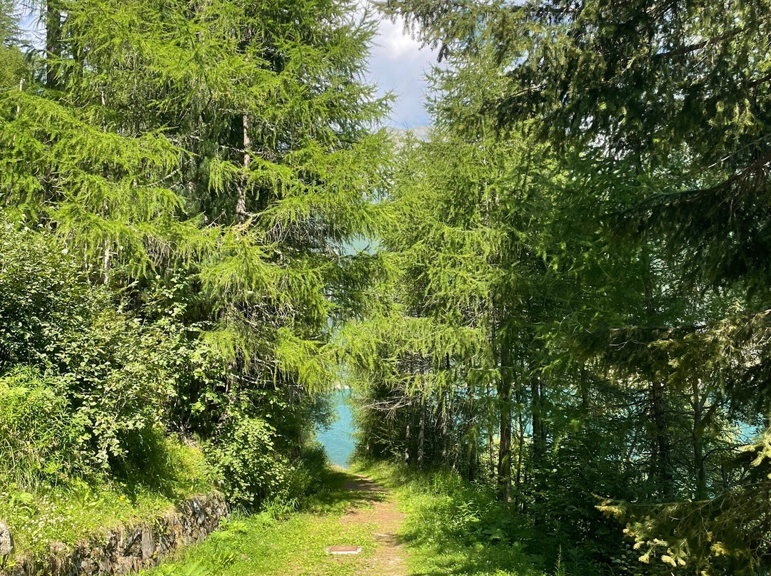 Val Senales景点图片