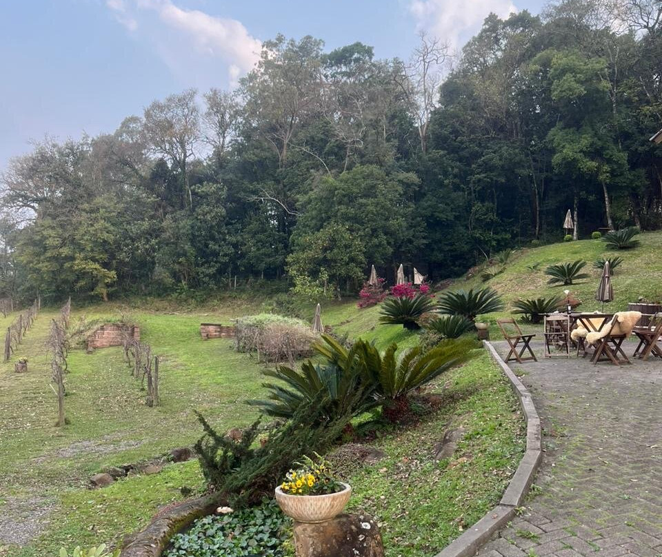 Granja da Telha Winery景点图片