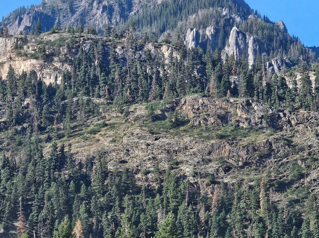 Main Street Inn主图