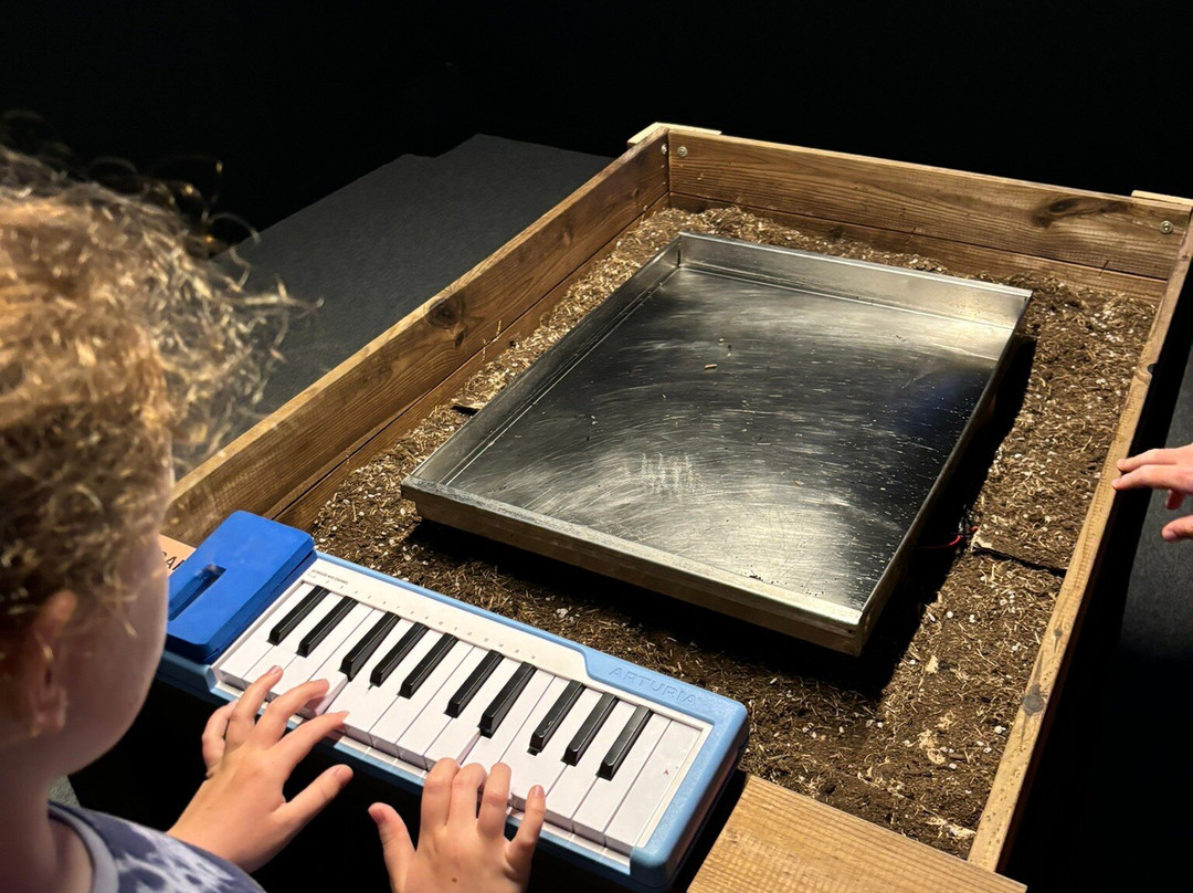 Museo de la Ciencia y el Agua-穆尔西亚必去景点