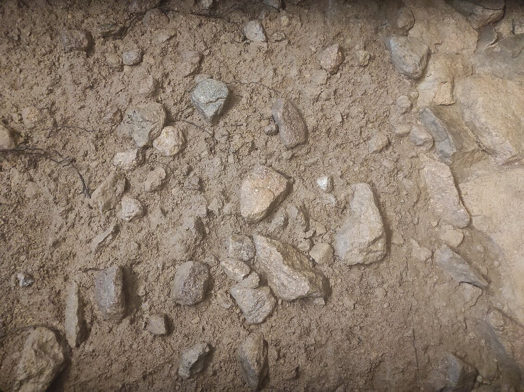 Kellerei Cantina Terlan-Terlano必去景点