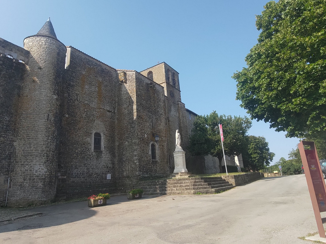 Fort de Saint-Jean d'Alcas景点图片