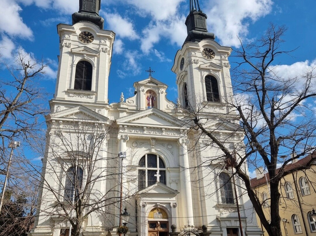 Orthodox Cathedral of St Nicholas景点图片