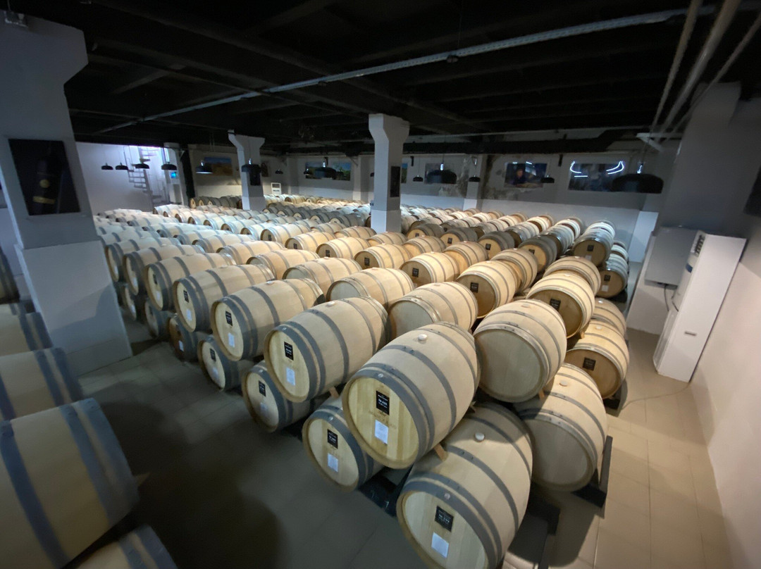 Myskhako Winery-Myskhako必去景点