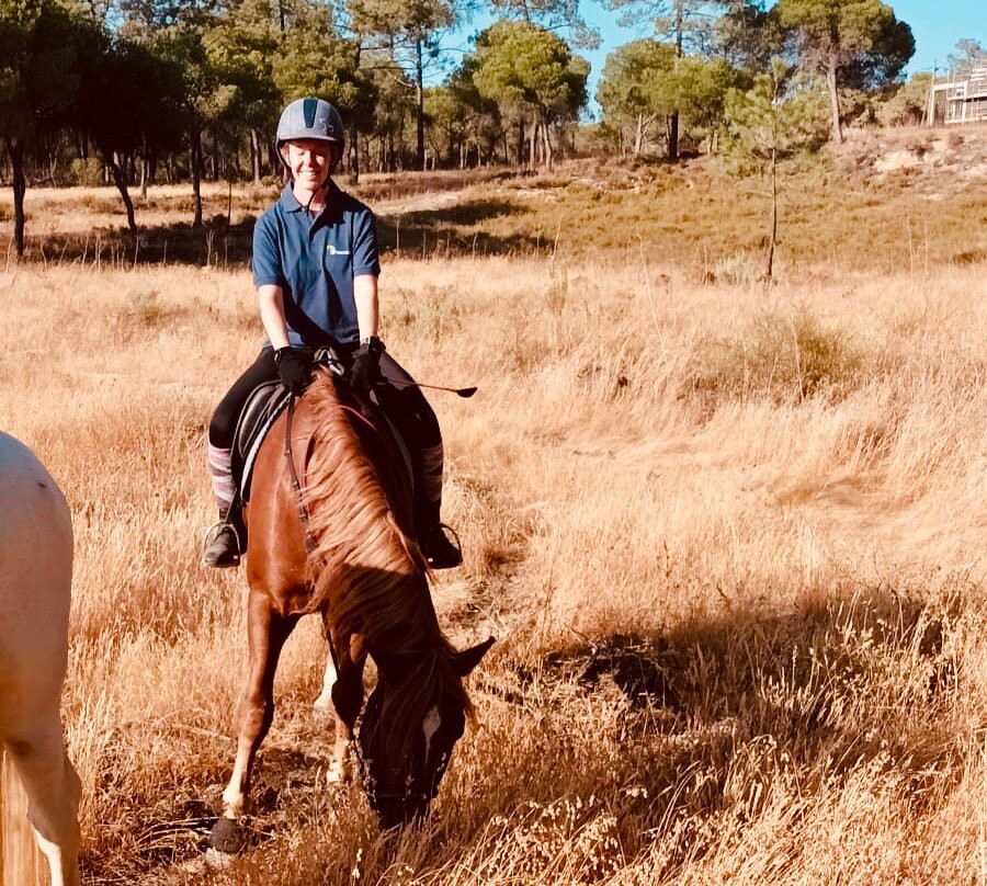 Pinetrees Horse Riding景点图片