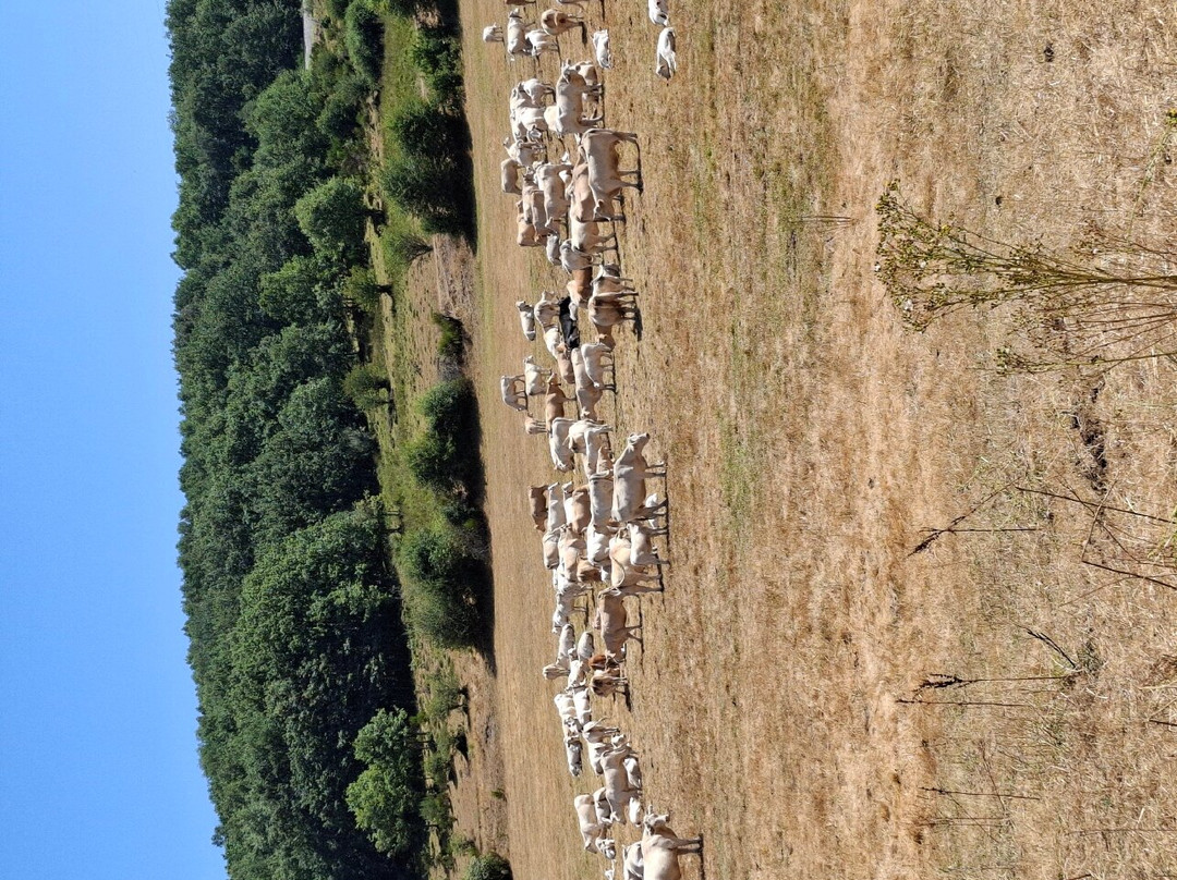 Tejeda de Tosande-La Estacion必去景点