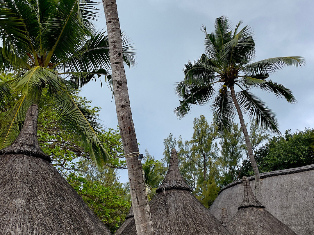 Taxi Mauritius Tours-大湾必去景点