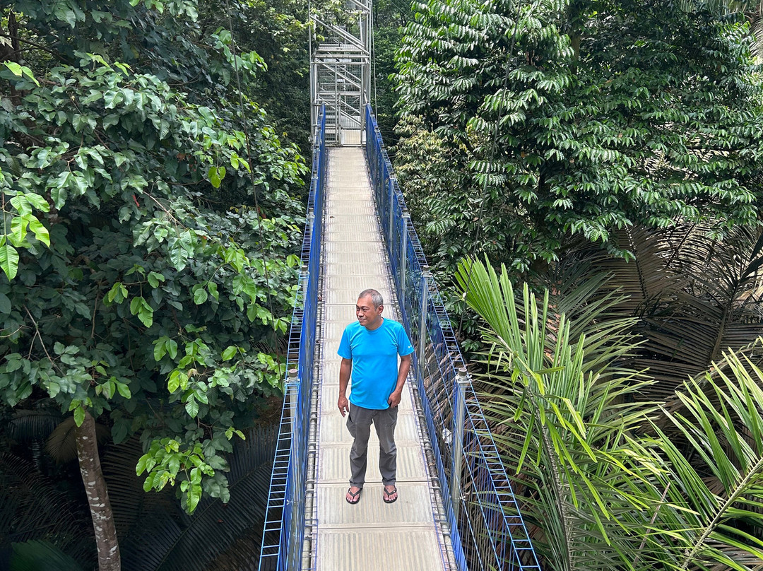 Forest SkyWalk - FRIM-吉隆坡必去景点