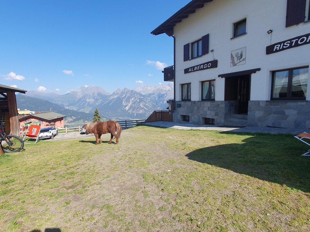 盖罗盖德隆酒店主图