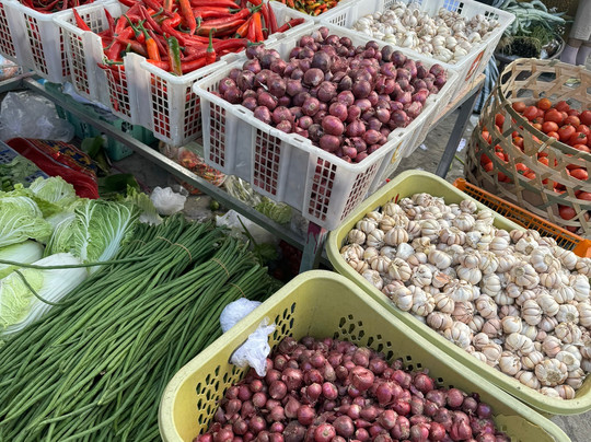 Lesung Bali-乌布必去景点