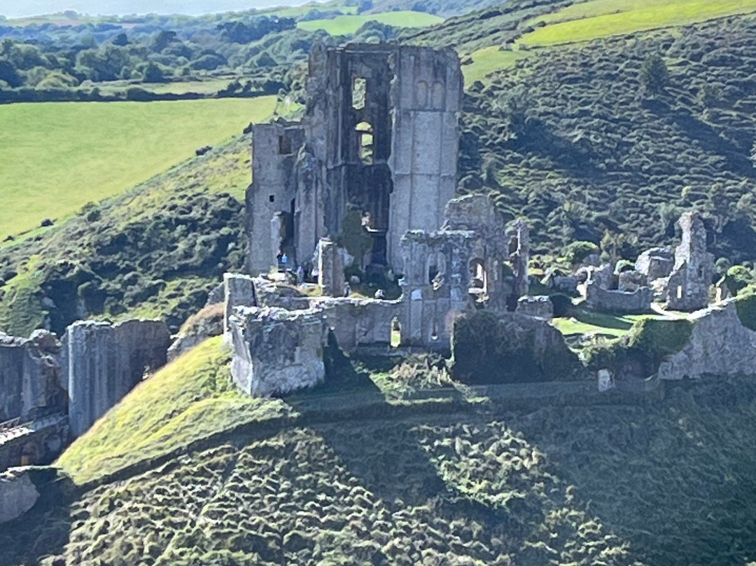 Purbeck Safari景点图片