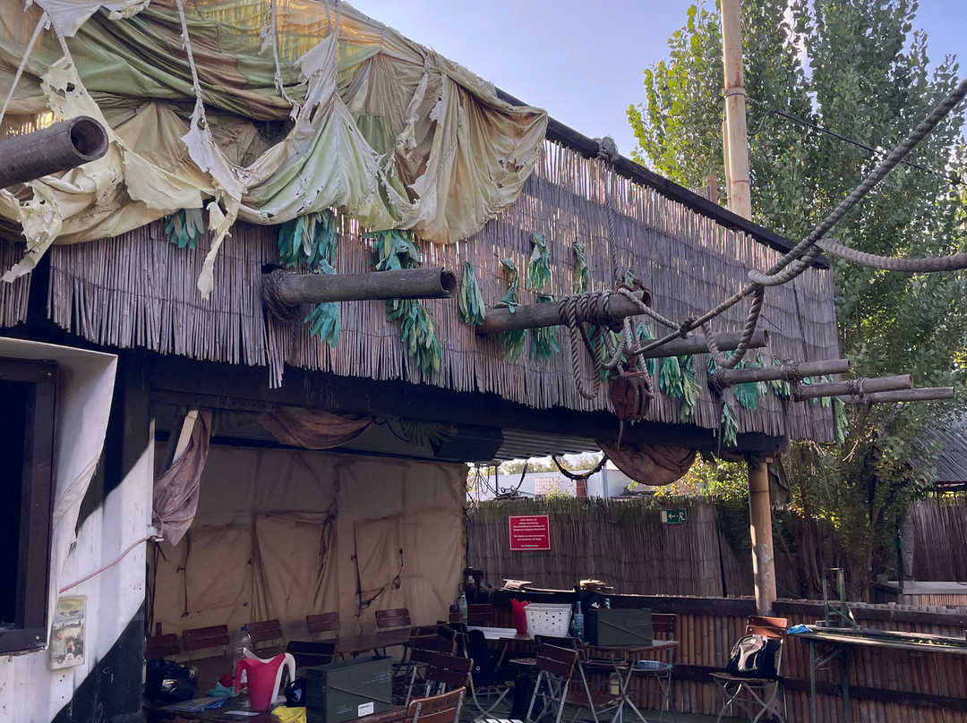 Playpaintball Jungle景点图片