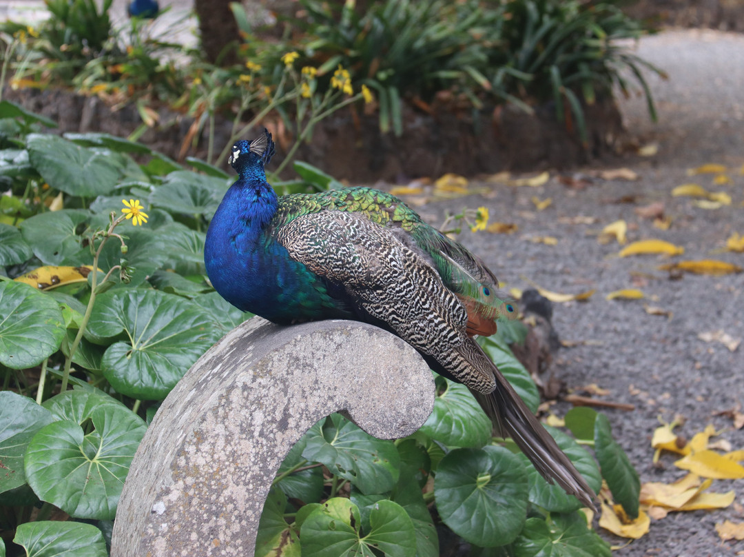 Jardines de la Marquesa景点图片