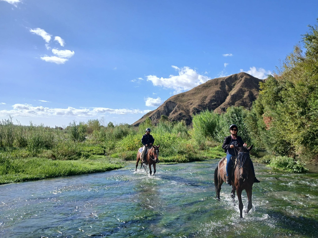 Sunshine Adventure Horses Power景点图片