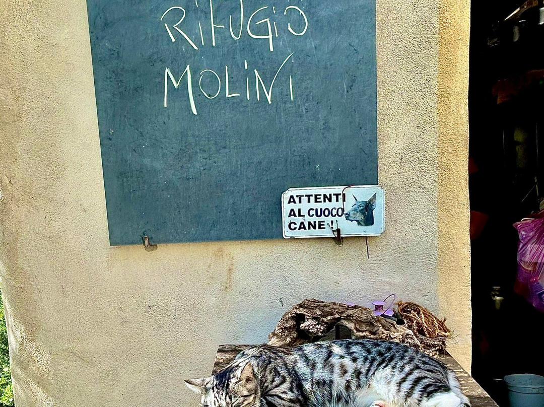 Agririfugio Molini主图