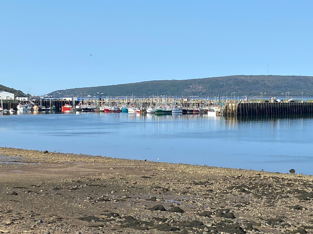 Seawinds Motel主图