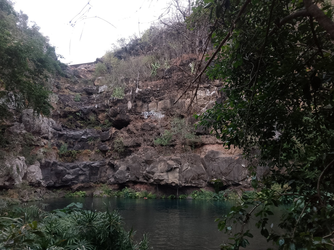 Bassin des Aigrettes景点图片