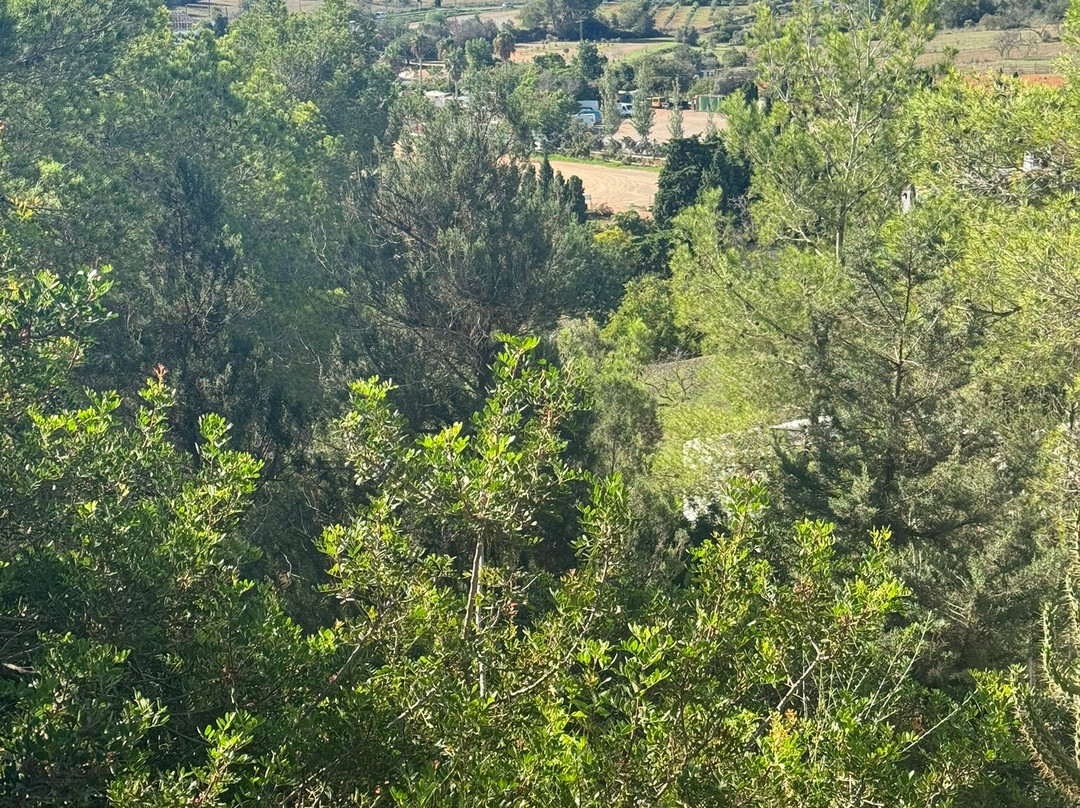 Can Curreu Hotel Rural & Spa主图