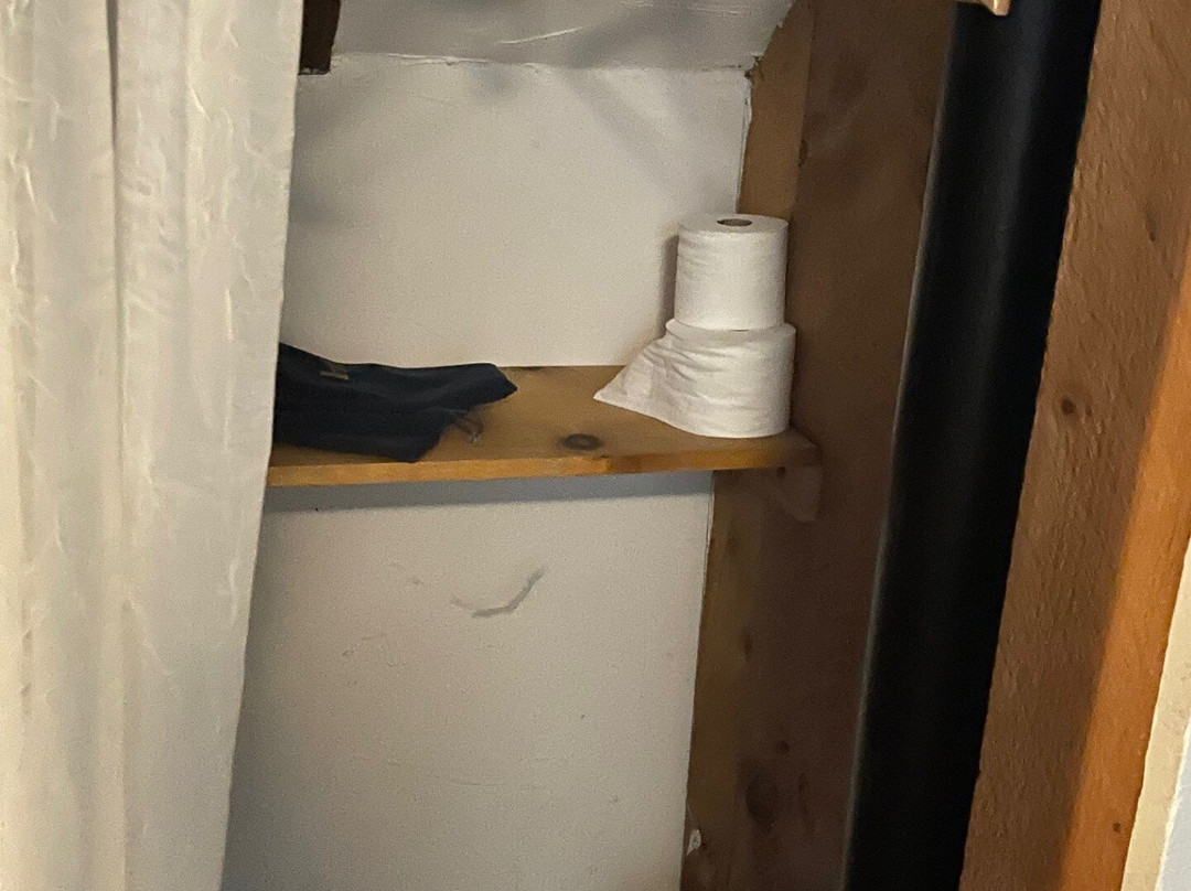 The Copper Swan主图