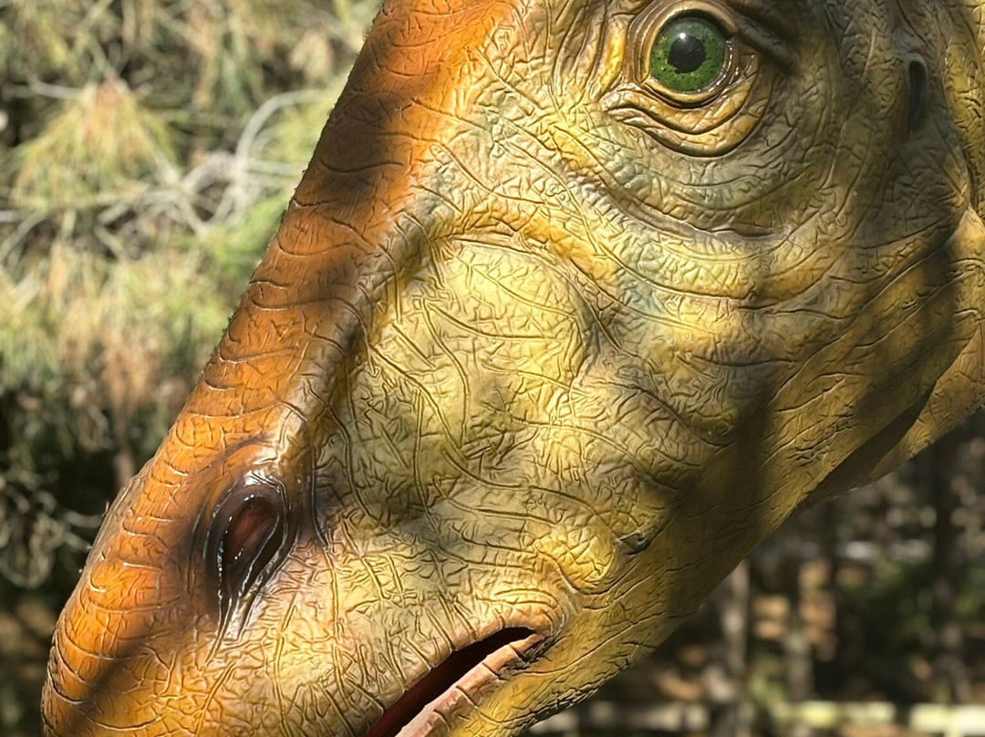 Dino Parque景点图片