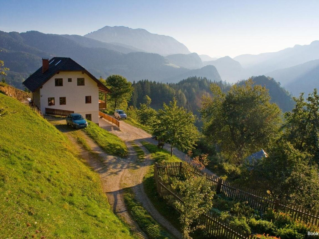 Tourist Farm Perk主图