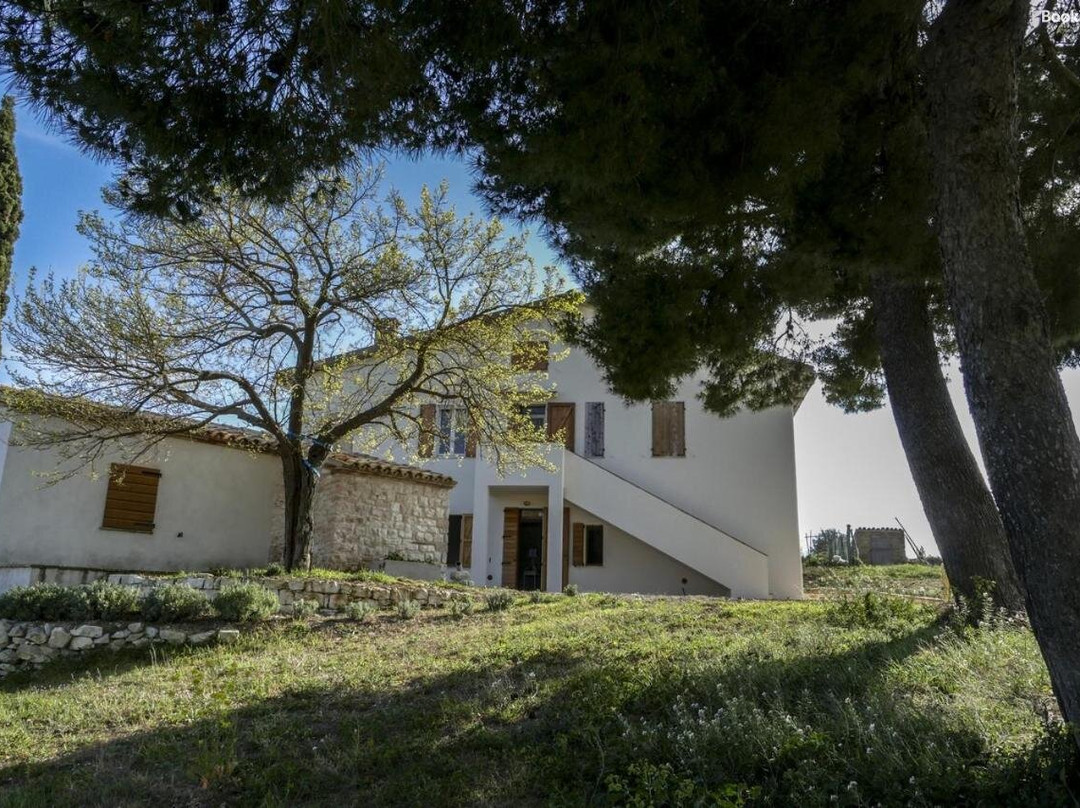 Massignano 116主图