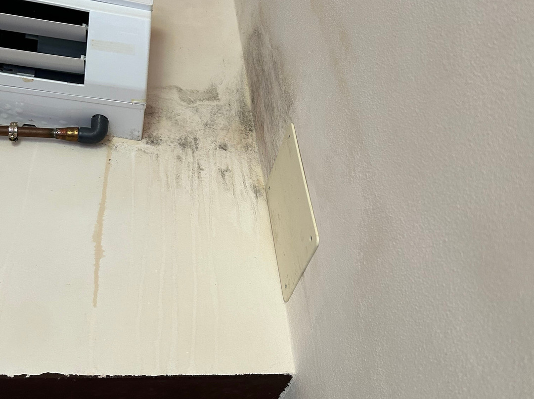 Finca Son Torrat主图