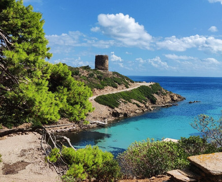 Cooperativa Sealand Asinara-萨萨里省必去景点