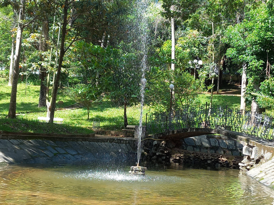 Praça XV de Novembro景点图片