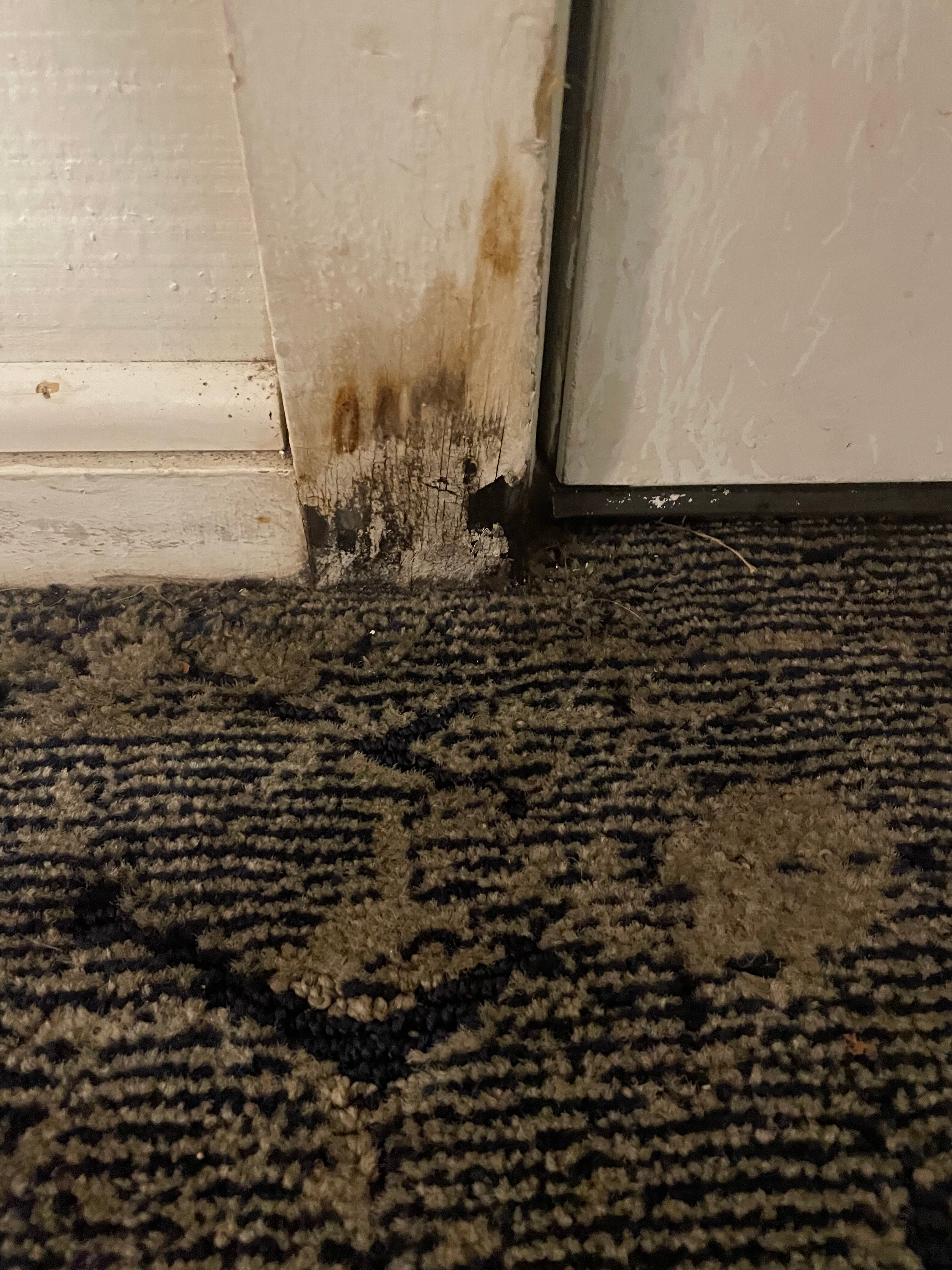 Anchor Inn & Cottages-客卧