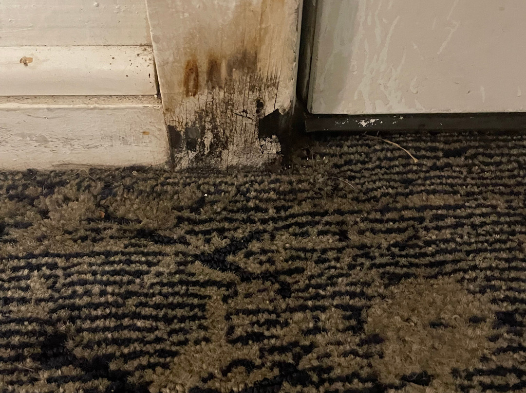 Anchor Inn & Cottages主图