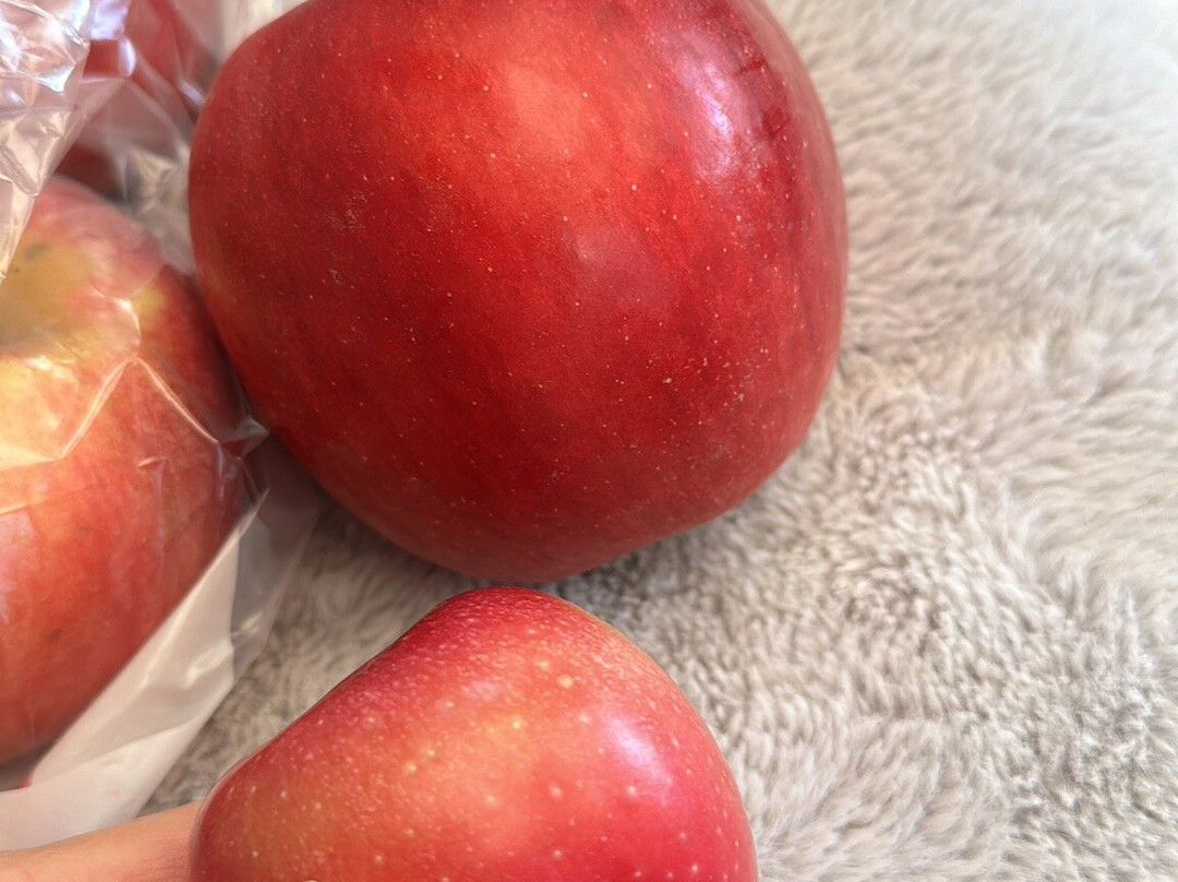 Masker Orchards景点图片