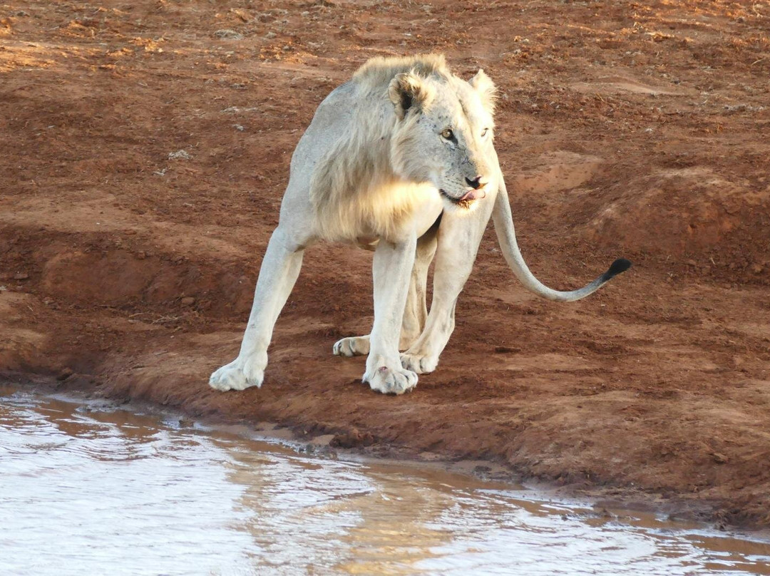 Gichmak Safari Kenya-Galu Beach必去景点