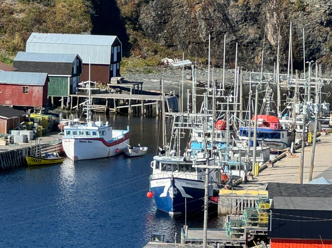 Gros Morne Transportation & Tours景点图片