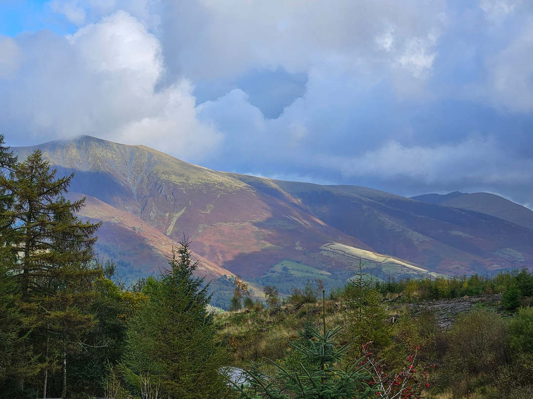 Go Ape Whinlatter-Braithwaite必去景点