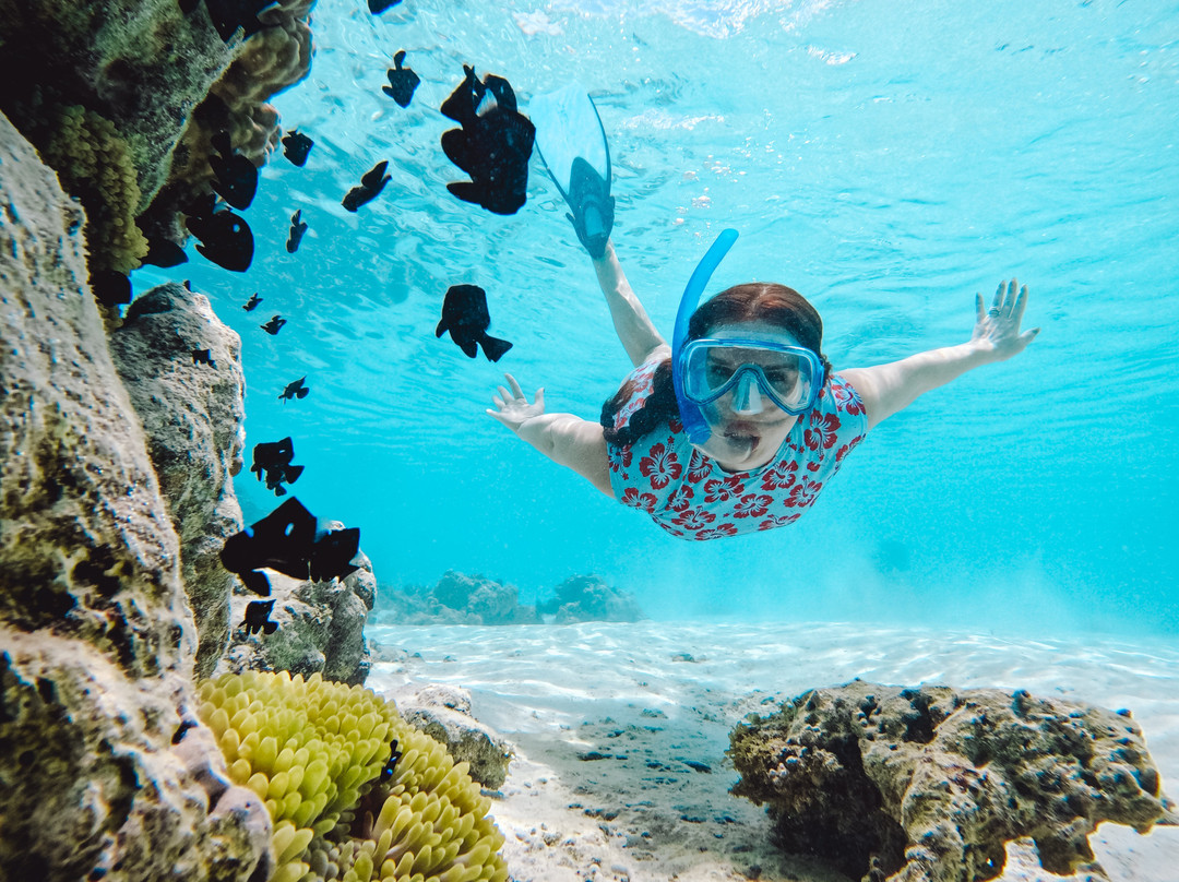 Mermaid Private Boat Tours-莫雷阿岛必去景点