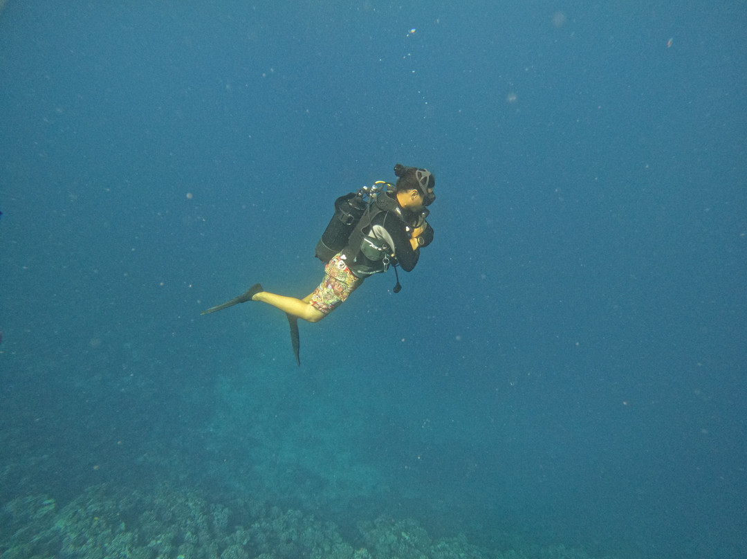 Moorea Fun Dive-Hauru必去景点