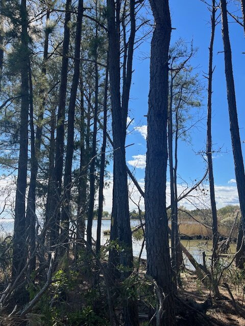 The Tilghman Island Inn主图