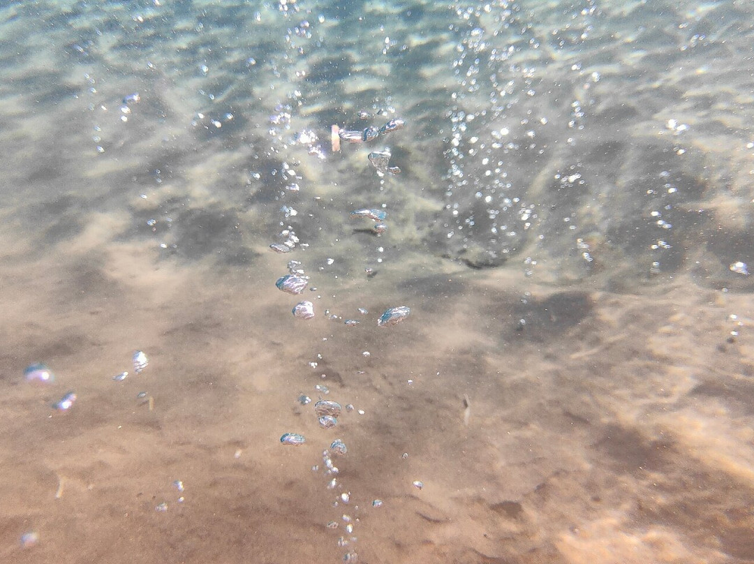 Paradise Beach景点图片
