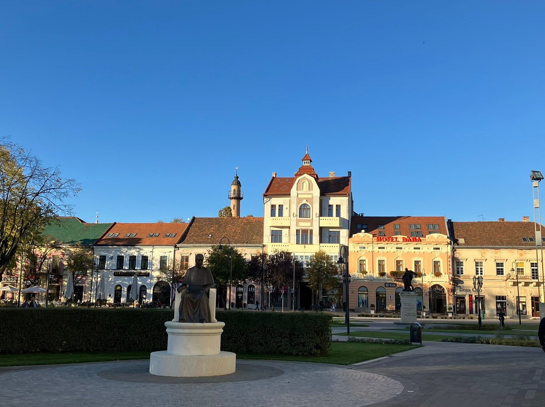 Satu Mare, Not Sute Mare景点图片