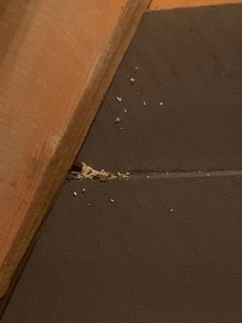 The Perch Resort主图