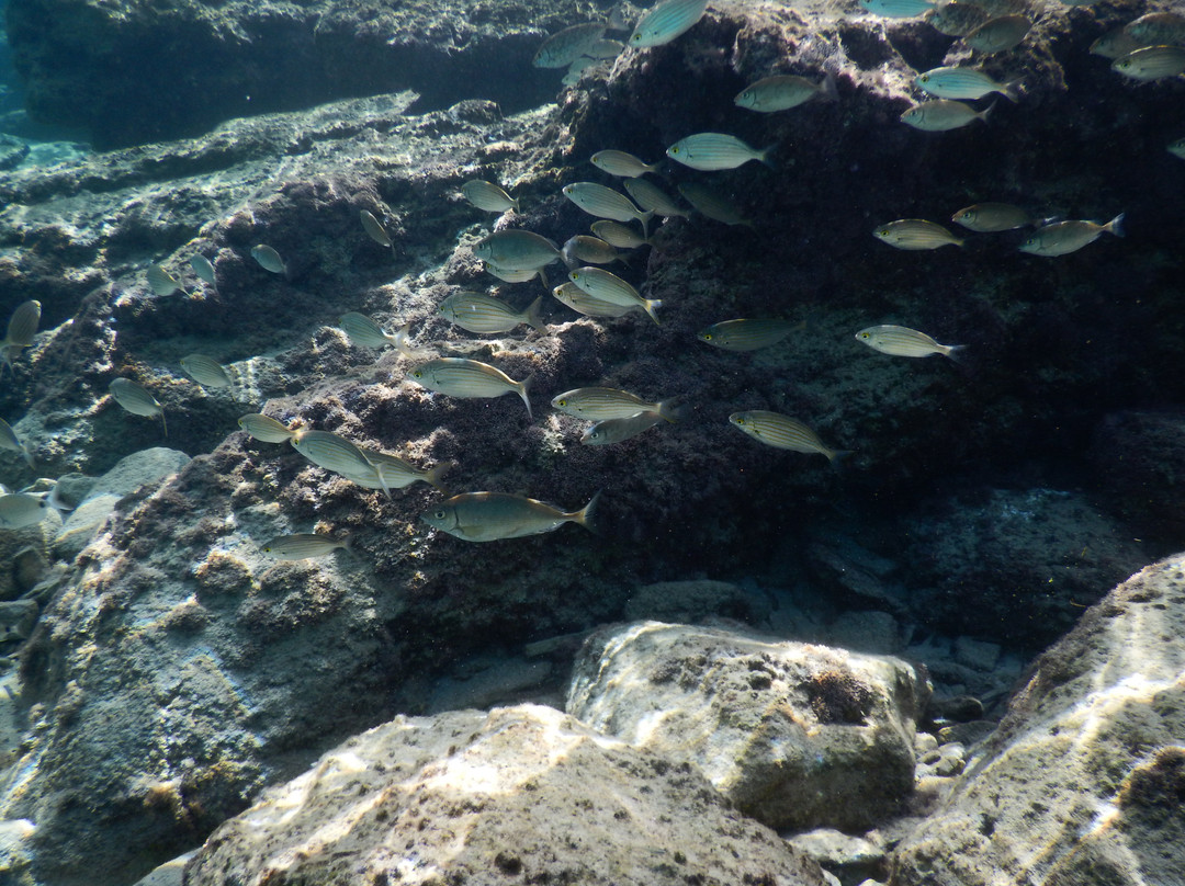 Xanthippi Hotel Apartments主图