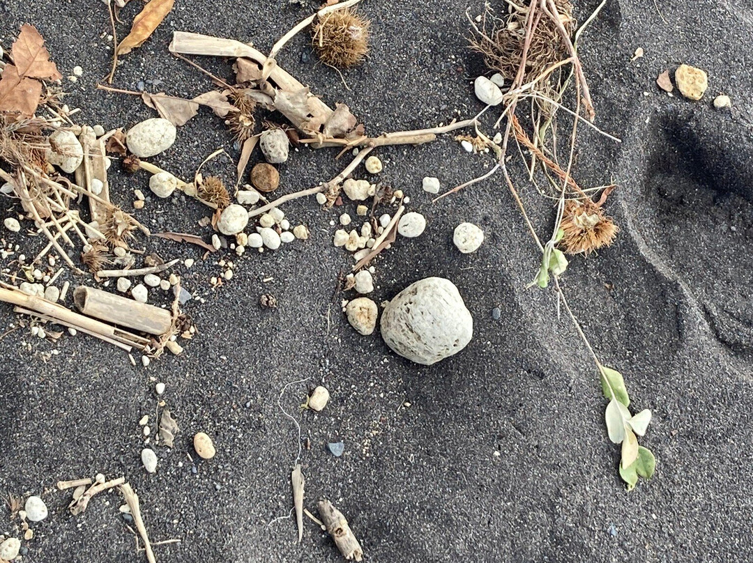 Mosteiros Beach-Mosteiros必去景点