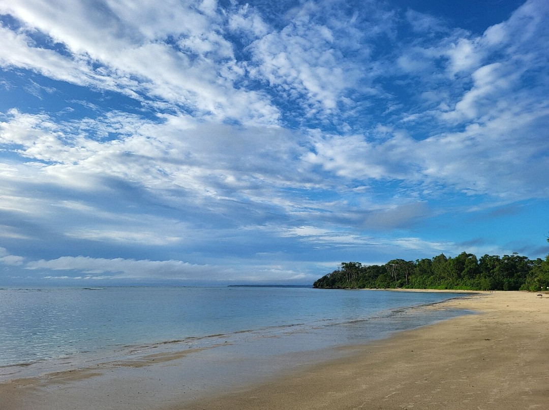 Wandoor Beach景点图片
